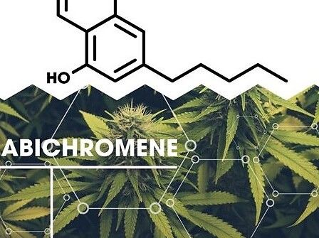 I 5 benefici per la salute del cannabicromene (CBC)