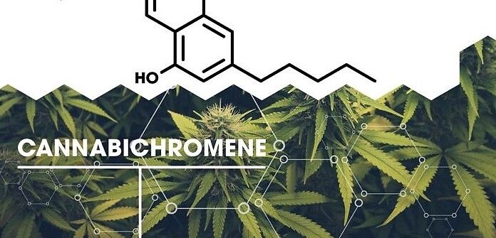 I 5 benefici per la salute del cannabicromene (CBC)