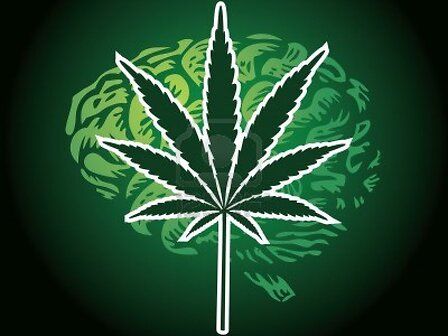 La cannabis protegge il sistema nervoso nella sclerosi multipla