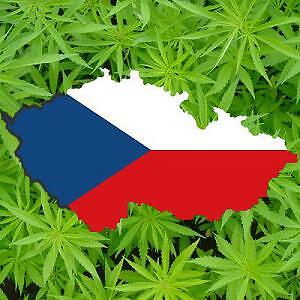 In Repubblica Ceca è stata assegnata la prima licenza per l&#039;importazione di cannabis terapeutica