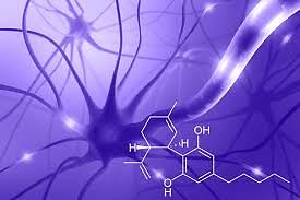 Nuove potenzialità della cannabis nel trattamento delle malattie autoimmuni