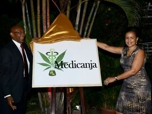 Nasce in Giamaica MediCanja, prima azienda del Paese dedicata alla cannabis terapeutica