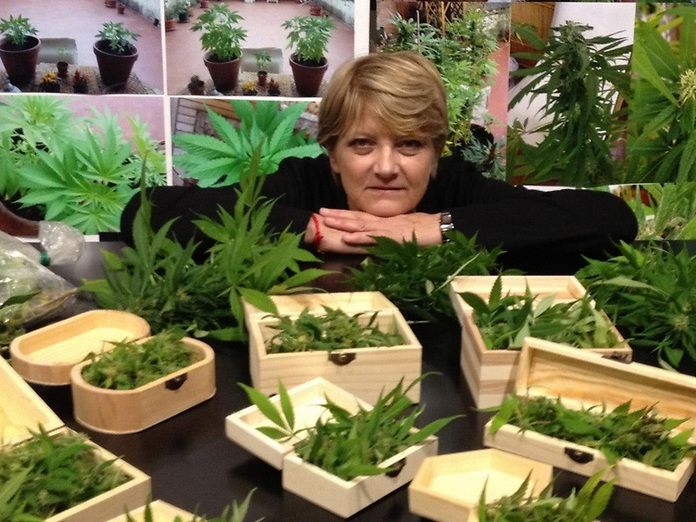 Rita Bernardini distribuirà la cannabis di LapianTiamo ai malati