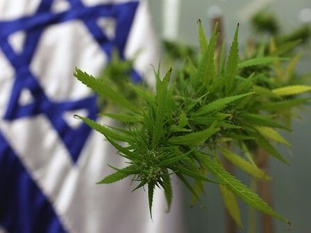 Israele si affida ad internet per facilitare l&amp;#039;utilizzo della cannabis terapeutica