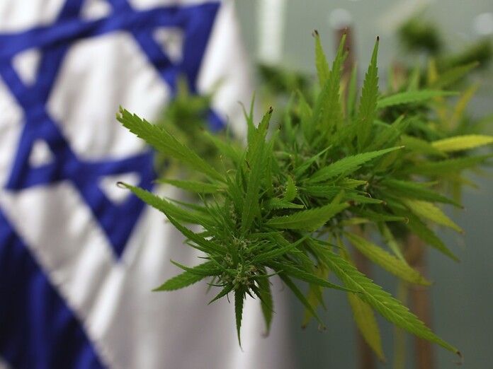 Israele si affida ad internet per facilitare l&#039;utilizzo della cannabis terapeutica