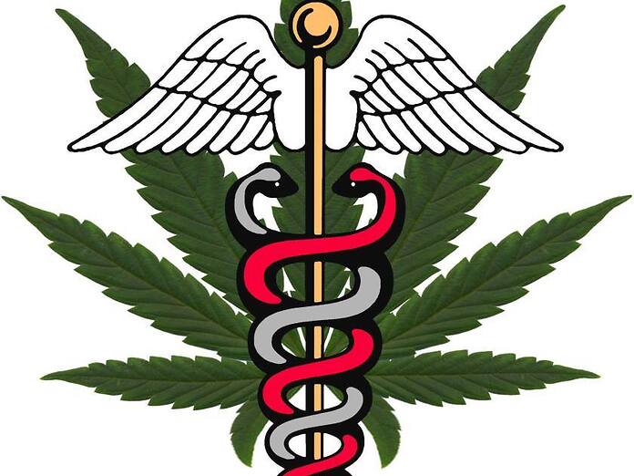 Cannabis terapeutica in Basilicata: parere favorevole della commissione