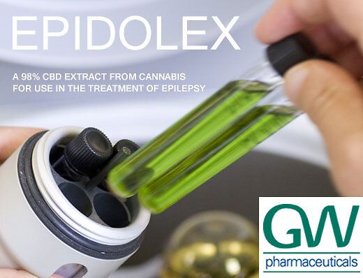 CBD ed epilessia: nuovi studi sull&amp;#039;Epidiolex in Scozia e Stati Uniti