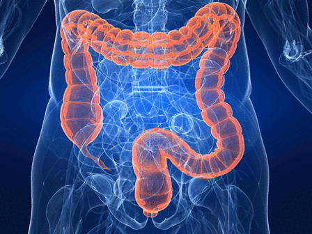 Endocannabinoidi e cannabidiolo per inibire il cancro al colon: due ricerche italiane