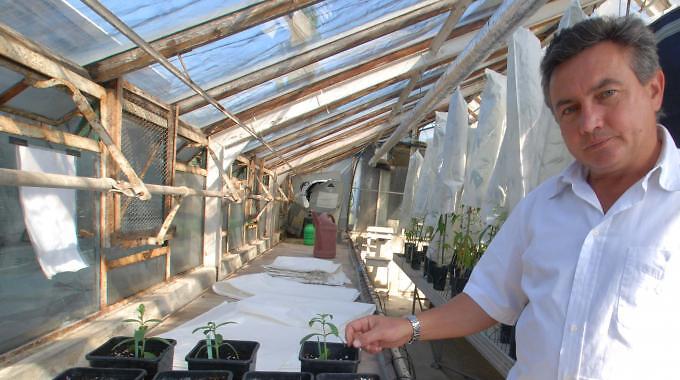 Gianpaolo Grassi: la via italiana alla cannabis terapeutica impone una presa di responsabilità