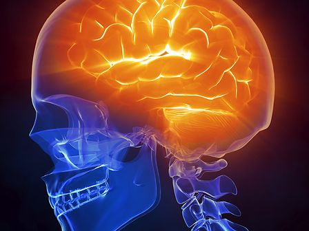 Nuovi studi confermano l’azione protettiva dei cannabinoidi sulle cellule cerebrali