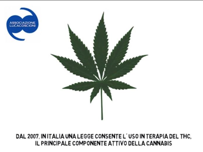 Cannabis terapeutica: l&#039;appello ai medici dell&#039;associazione Luca Coscioni