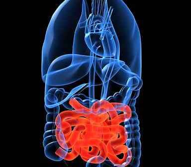 Nuovi riscontri scientifici nel trattamento del morbo di Crohn con la cannabis