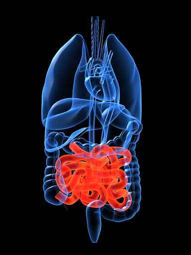 Nuovi riscontri scientifici nel trattamento del morbo di Crohn con la cannabis