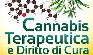 Cannabis terapeutica: le notizie dalle associazioni italiane