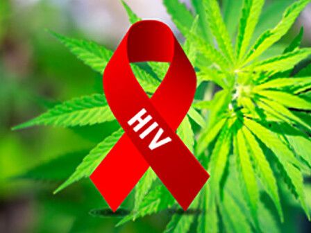 I pazienti affetti da HIV che consumano cannabis hanno una carica virale inferiore