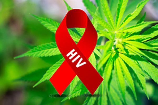 I pazienti affetti da HIV che consumano cannabis hanno una carica virale inferiore