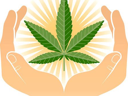 Sondaggio USA: la cannabis funziona per il 92% dei pazienti