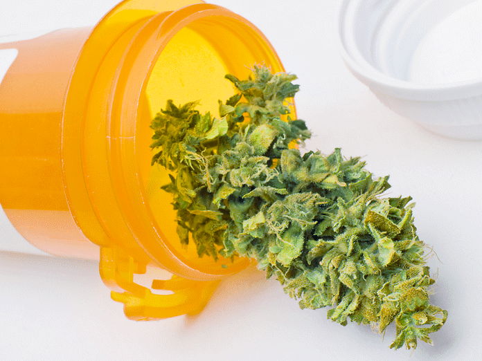 Cile: approvata la prima azienda per la coltivazione di cannabis terapeutica