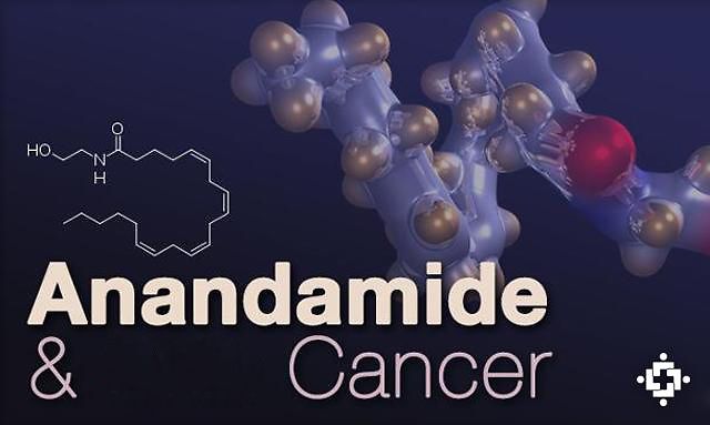 Endocannabinoidi contro il tumore della prostata: nuovo studio