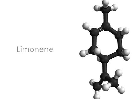 Limonene: un terpene terapeutico e industriale