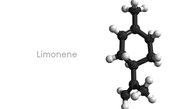 Limonene: un terpene terapeutico e industriale
