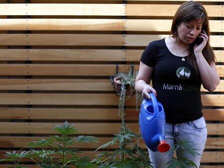 Cuore di mamma: le madri che lottano per l&amp;#039;accesso alla cannabis terapeutica