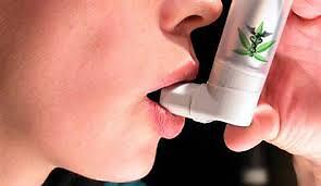 Dimostrata l’azione broncodilatatoria del THC e i benefici sull’asma