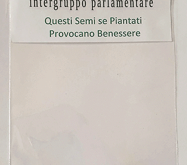 Toscana, il consigliere regionale: &amp;quot;Pianterò cannabis in ufficio&amp;quot;