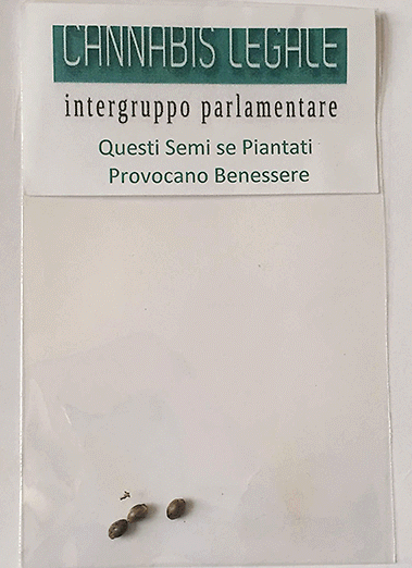 Toscana, il consigliere regionale: &quot;Pianterò cannabis in ufficio&quot;