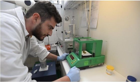 Grosseto: alla farmacia San Giuseppe il primo info point sulla cannabis terapeutica