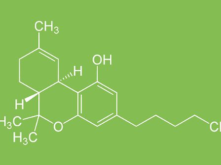 Nuovo studio conferma l’efficacia del THC contro i tumori alla pelle