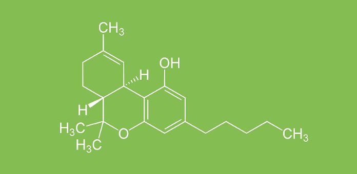 Nuovo studio conferma l’efficacia del THC contro i tumori alla pelle