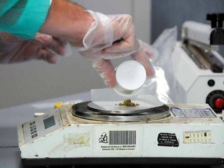 Cannabis terapeutica: &amp;quot;Farmacisti in prima linea in questa battaglia di civiltà&amp;quot;