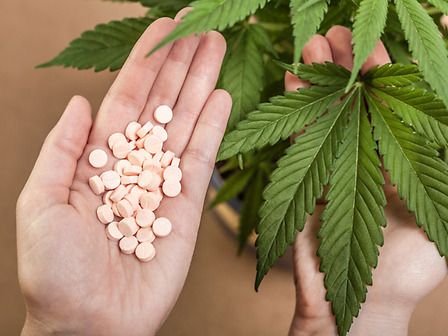 Cannabis terapeutica al posto degli oppioidi: &amp;quot;Più sicura e non causa morti&amp;quot;