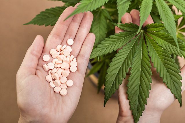 Cannabis terapeutica al posto degli oppioidi: &quot;Più sicura e non causa morti&quot;