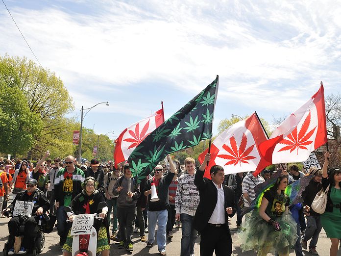 I pazienti canadesi possono continuare a coltivare cannabis
