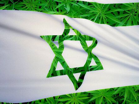 Israele: epicentro mondiale della ricerca sulla cannabis
