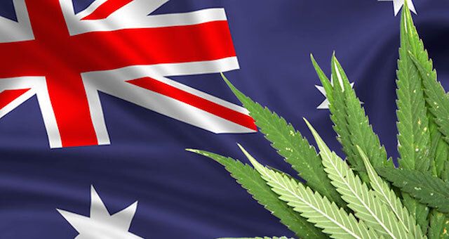 Australia: cannabis terapeutica legale, al via le coltivazioni