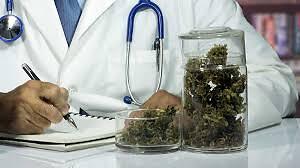 Cannabis in farmacia: dal dottor Ternelli tutte le informazioni necessarie