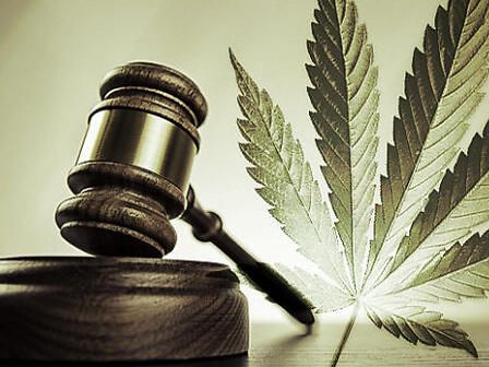 Cannabis terapeutica e legalizzazione: l&amp;#039;opinione dell&amp;#039;avvocato Zaina