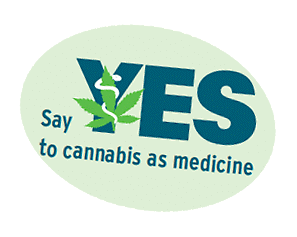 &quot;Say yes to cannabis as medicine&quot;: la campagna mondiale per la cannabis
