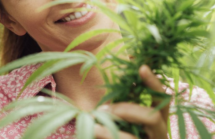 In Canada i pazienti possono coltivare cannabis a casa propria