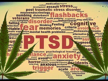Cannabis e disturbo da stress post-traumatico: studio clinico al via