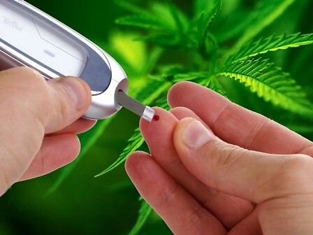 Cannabinoidi utili nel trattamento del diabete di tipo 2 secondo un nuovo studio clinico