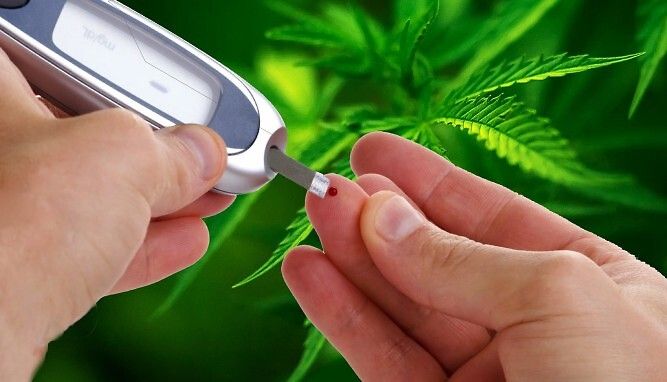 Cannabinoidi utili nel trattamento del diabete di tipo 2 secondo un nuovo studio clinico
