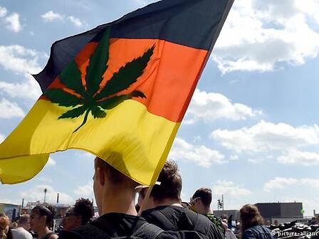 La Germania approva la cannabis terapeutica all&amp;#039;unanimità a spese del sistema sanitario nazionale