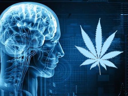 Cancro al cervello: con Thc e Cbd la sopravvivenza dei pazienti aumenta del 30%