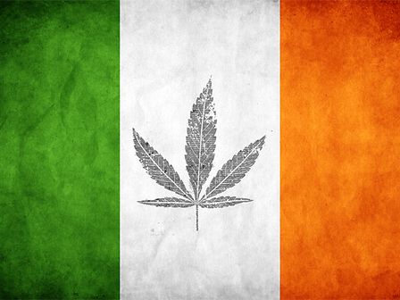 L&amp;#039;Irlanda si appresta a legalizzare la cannabis terapeutica