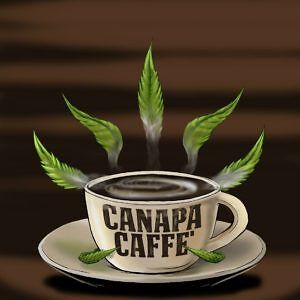 Canapa Caffè: dalla therapy room ai piatti a base di canapa