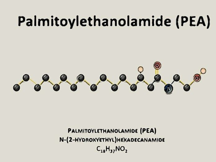 PEA: l&#039;endocannabinoide per combattere le infiammazioni e i danni al cervello